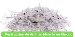 Destrucción de Archivo Muerto en México